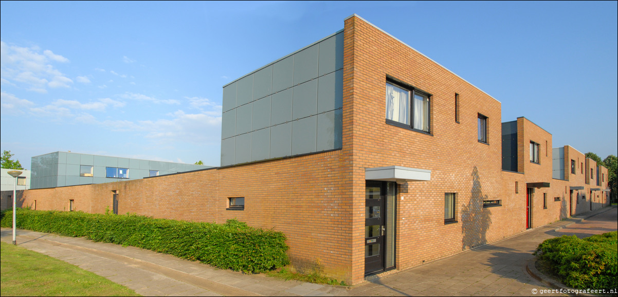 Almere Stad Oost Filmwijk  Compositae
